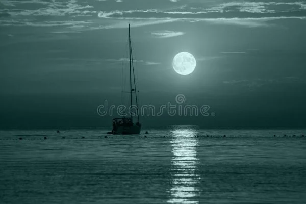 1650771471818.webp