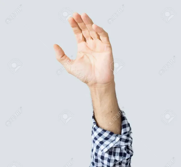 1651451342048.webp