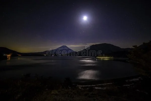 1651630995780.webp