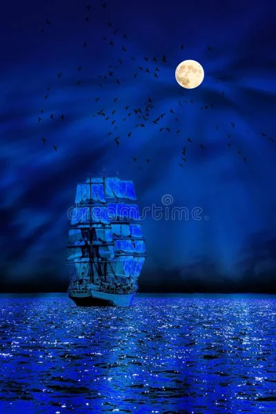 1651714165431.webp