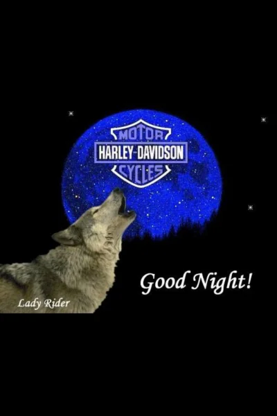 1654221304315.webp