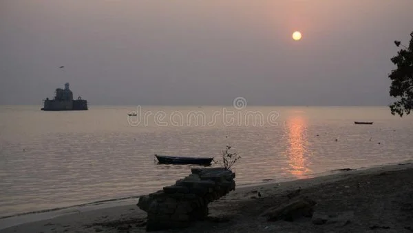 1654566954223.webp