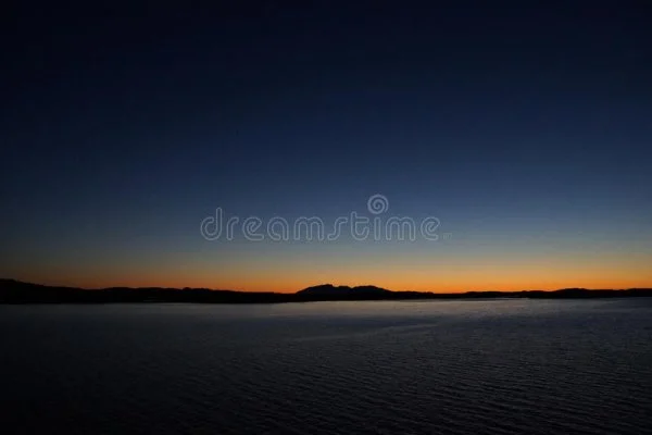 1655517363087.webp
