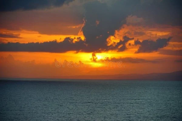 1655776006356.webp