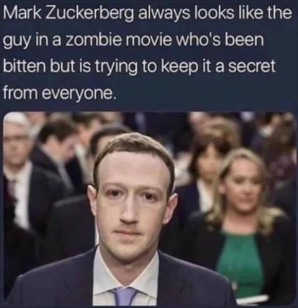 1656516130415.webp