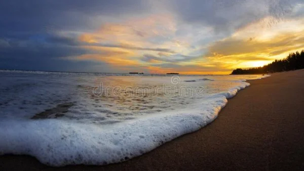 1660096597240.webp
