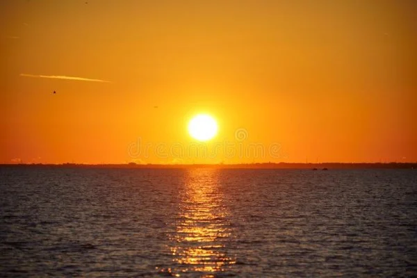1660356986188.webp