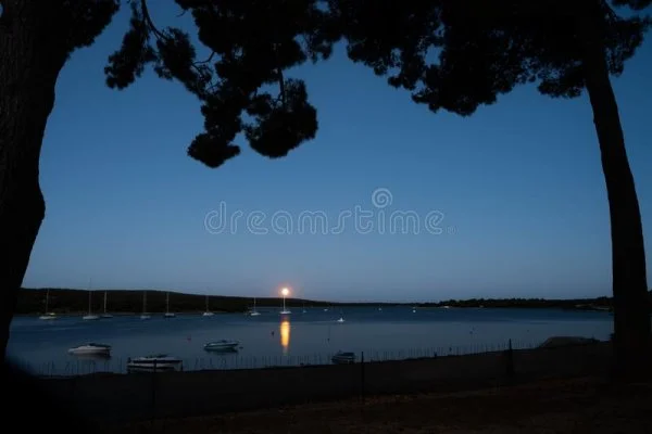 1660528214385.webp
