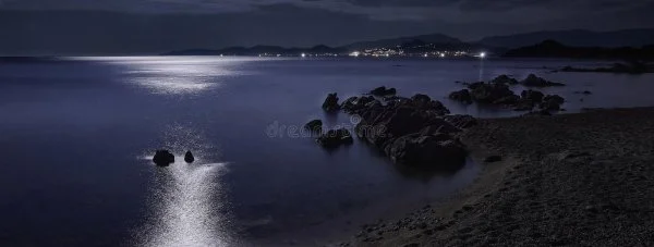 1661132579468.webp