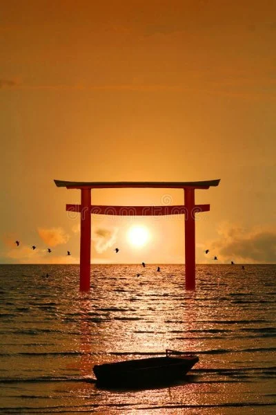 1661737174238.webp
