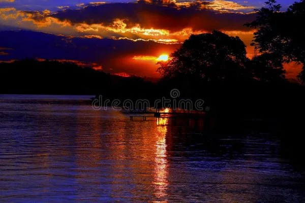 1662430259943.webp