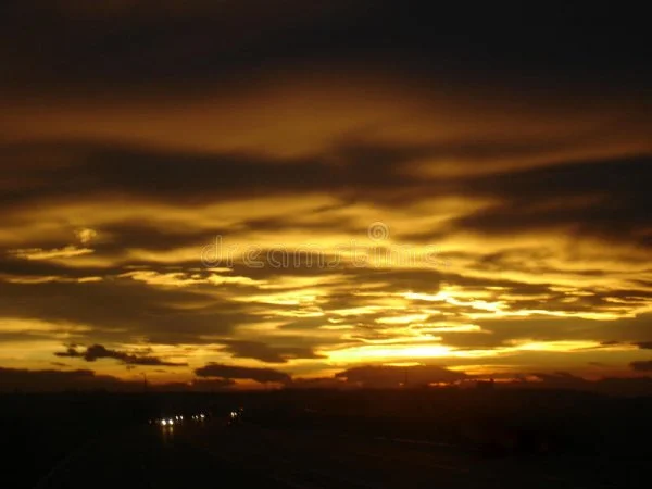1663725416865.webp