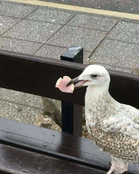 1665627172107.jpeg