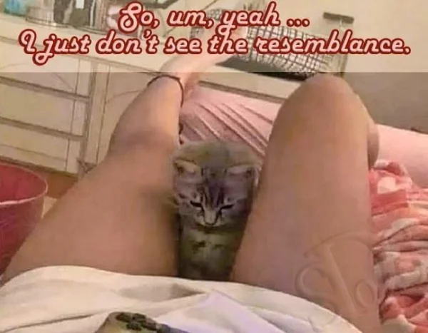 1665917355714.webp