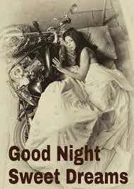 1668480953136.webp