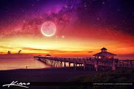 1669693369360.webp