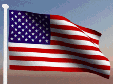 1669756068201.gif