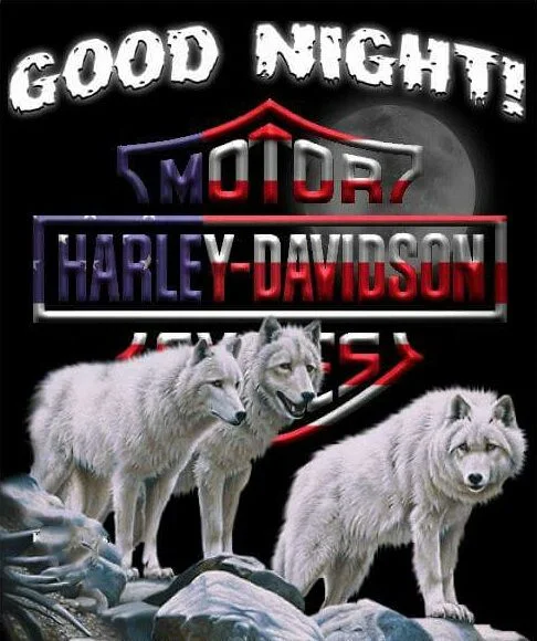 1670553687487.webp