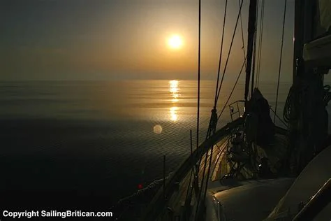 1671331436375.webp