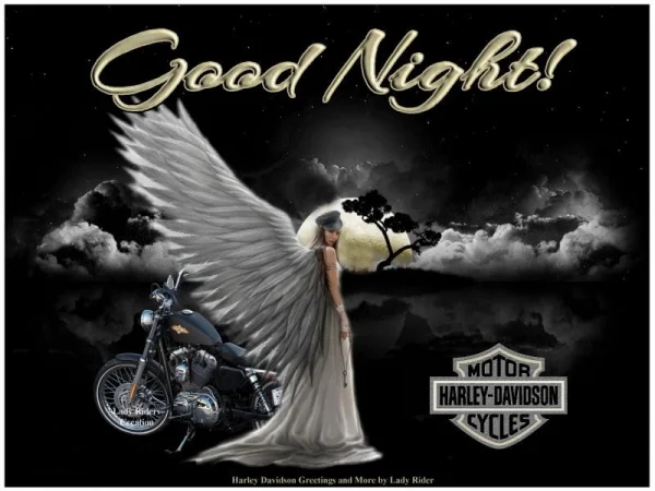 1671503552699.webp
