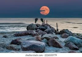 1675220370527.webp