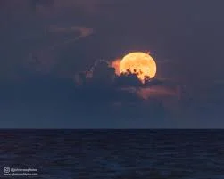 1678588694650.webp