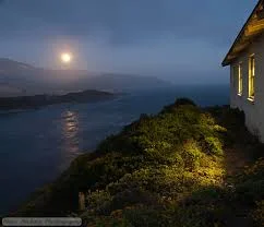 1679969091723.webp