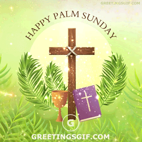 1680462581057.gif
