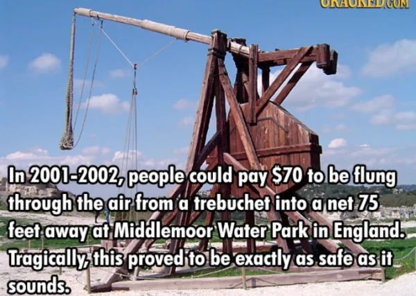 1681475923924.png