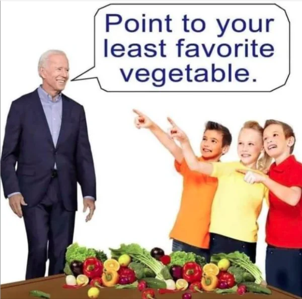 1682004086481.webp
