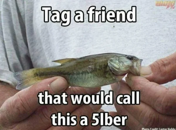 1684026723048.webp