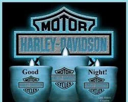 1686187419368.webp