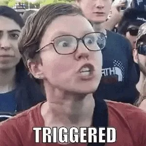 1688049776362.png