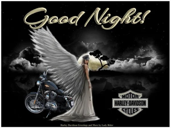1688345561949.webp