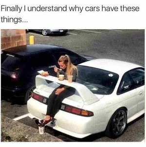 1688439282158.webp