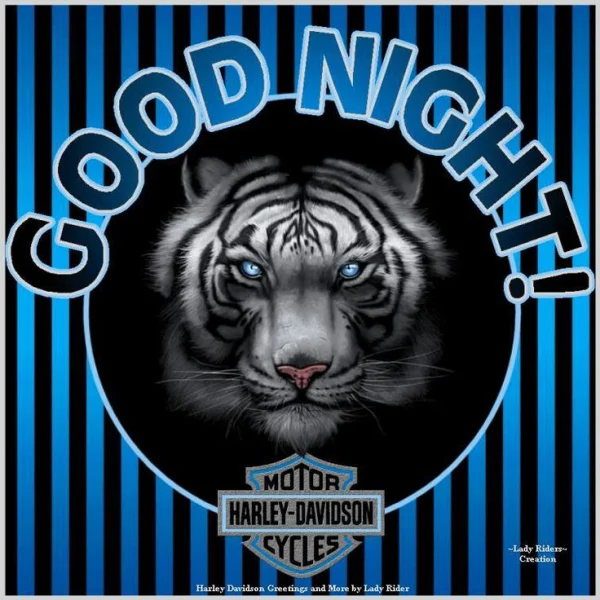 1689038914762.webp