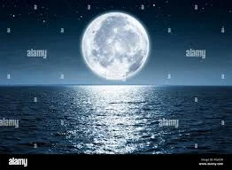 1689557718024.webp