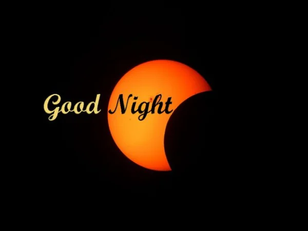 1690162340611.webp