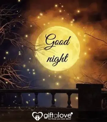 1690767039536.webp
