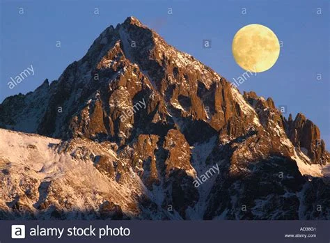 1690769522875.webp
