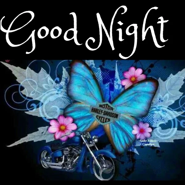 1690939506444.webp