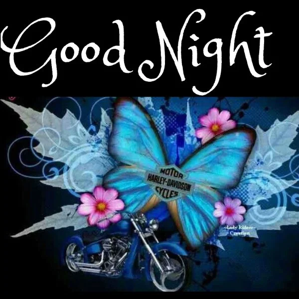 1693014168686.webp