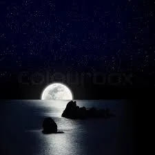 1693271322191.webp