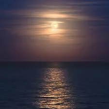 1693963518700.webp