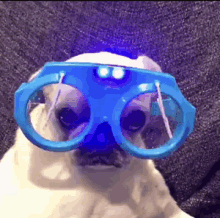 1696009727850.gif