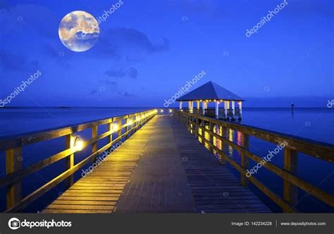 1697592222499.webp
