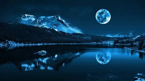 1697852793375.webp