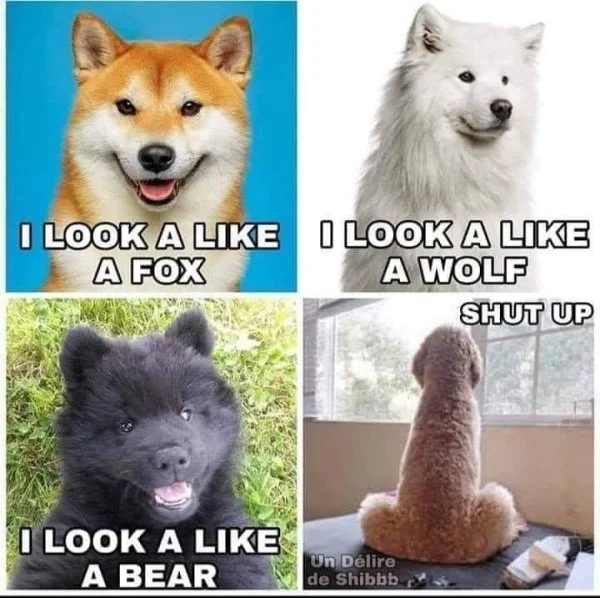 1698149181769.webp