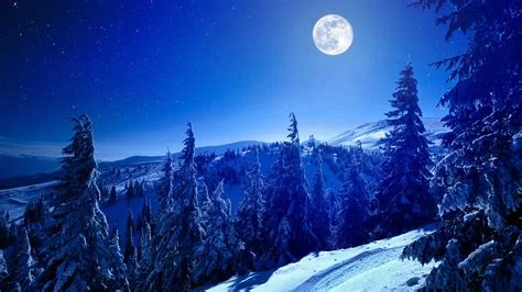 1699671590093.webp