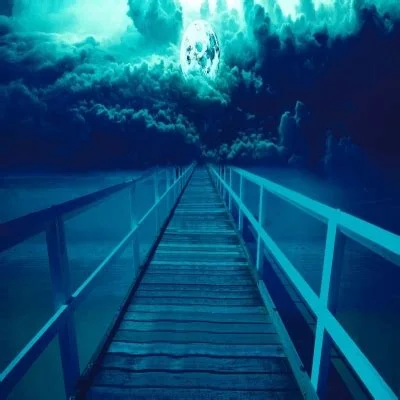 1699927259708.webp